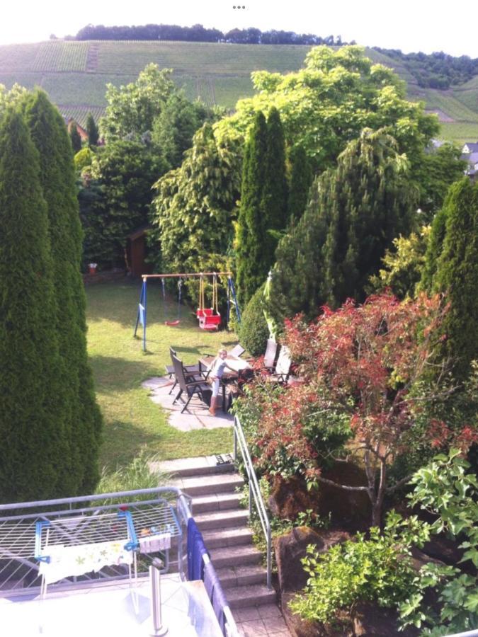 Doppelzimmer Mit Terrasse Zum Garten, Ruhig, Weinbergsblick, Zusaetzliches Kinderzimmer Anbei Moeglich Winningen Eksteriør billede